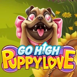 Go High Puppy Love logo – Slots by RubyPlay at Spinoloco Casino