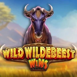 Wild Wildebeest Wins logo by Pragmatic Play at Spinoloco Casino